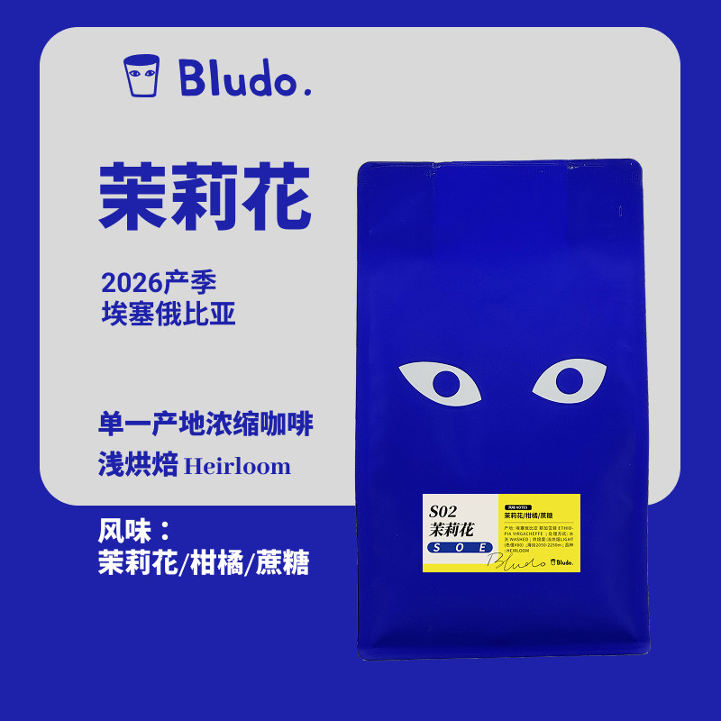 Bludo.埃塞俄比亚 SOE 耶加雪菲/科契尔 74110 水洗 浅烘焙