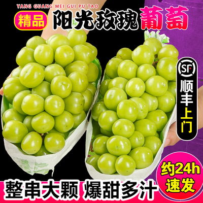 爆甜多汁阳光玫瑰葡萄顺丰上门