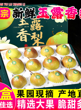正宗山西玉露香梨5/10斤梨子新鲜水果顺丰礼盒当季整箱香酥梨雪梨