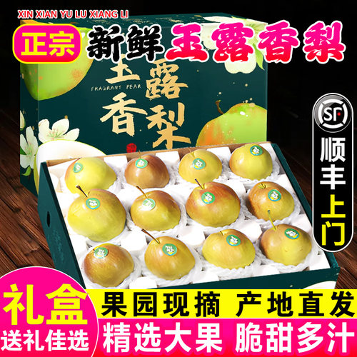 正宗山西玉露香梨顺丰包邮