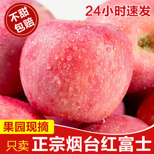 正宗山东烟台红富士苹果水果当季礼盒整箱10斤新鲜栖霞冰糖心苹果