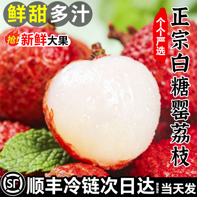 正宗白糖罂荔枝新鲜现摘现发水果当季整箱顺丰冷链包邮荔枝大果王