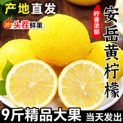 四川安岳黄柠檬新鲜水果5皮薄当季现摘一级鲜果金桔香水青柠檬