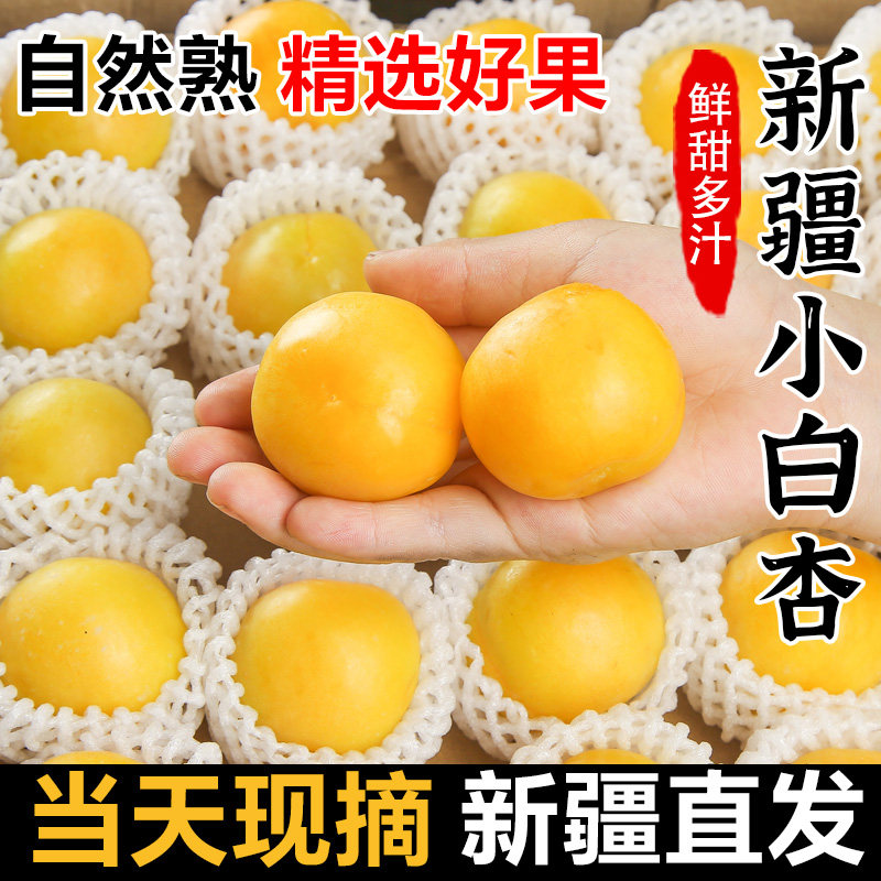 正宗新疆小白杏子新鲜水果