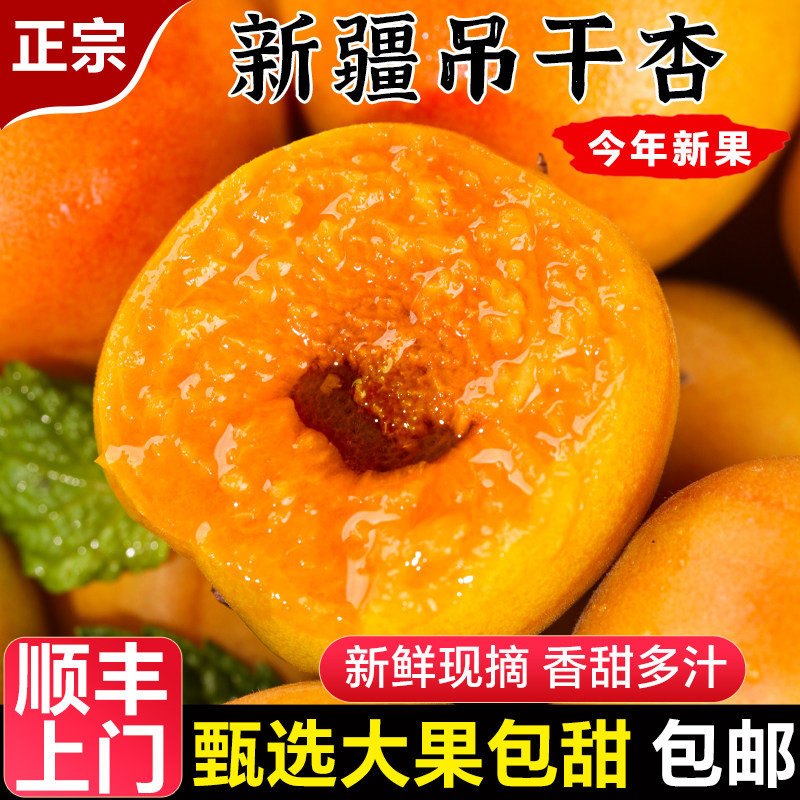正宗新疆小红杏子新鲜水果阿克苏吊干杏当季整箱胜小白杏