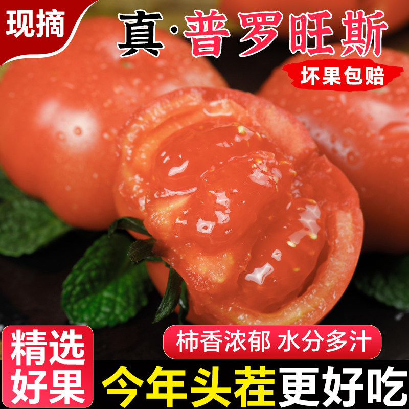 正宗新疆普罗旺斯西红柿5斤新鲜蔬菜当季自然熟沙瓤多汁番茄