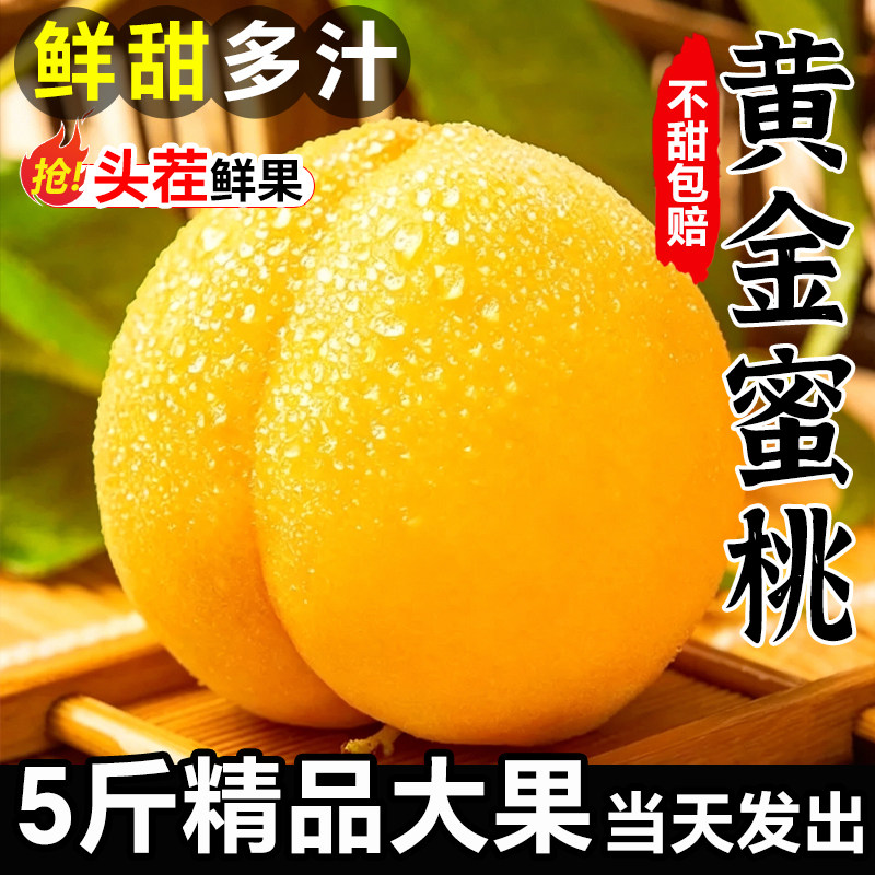 黄桃新鲜桃子水果5斤时令黄金蜜桃当季整箱现摘脆甜蒙阴黄肉蜜桃