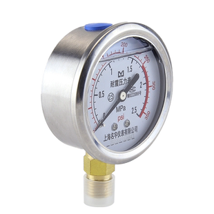 不锈钢耐震压力表YN60BF耐腐蚀耐高温油压水压气压液压真空压力表