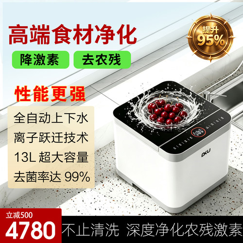 德国DKU果蔬清洗机去农残降激素
