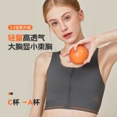 集姻拉链束胸衣帅t无痕强力缩胸平胸神器女防震胸大显小运动内衣