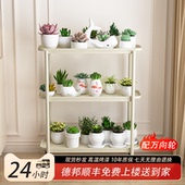 铁艺花架子客厅落地式 室内家用阳台置物架多层绿萝植物摆放花盆架