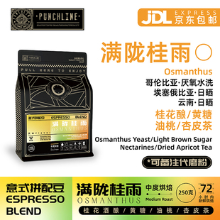 Punchline意式咖啡豆哥伦比亚&埃塞&云南拼配满陇桂雨美式黑咖啡