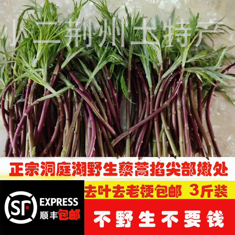 顺丰包邮2斤装湖北特产野生藜蒿野泥蒿蒿子芦蒿野菜新鲜红梗藜蒿