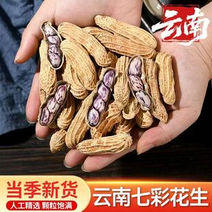七彩花生龙岩咸干湿烤水煮花生花青素福建闽西龙岩特产送礼闲零食