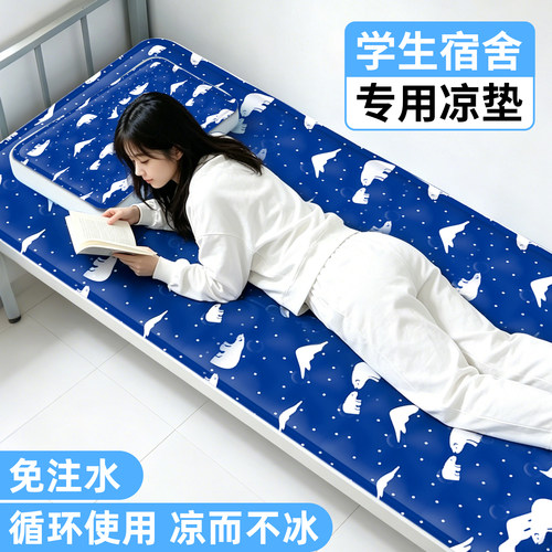 冰垫床垫学生宿舍凉席降温水床垫