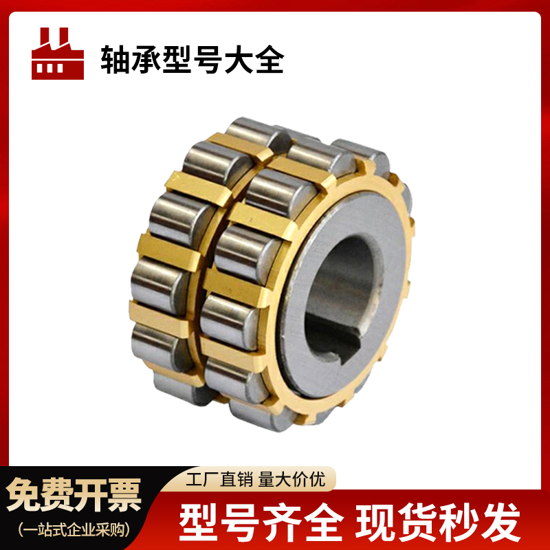 进口摇摆减速机专用RN205整体偏心轴承套309轮凸轮偏心轴承RN307