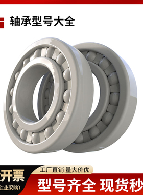 16000氧化锆16001全陶瓷16007轴16002承16003 16004CE16005 16006