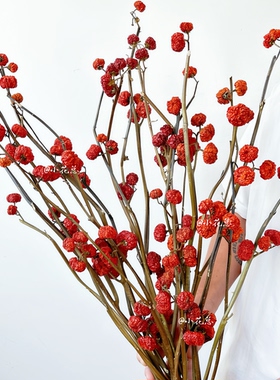 小南瓜干花包节日场景装饰布置摆件拍摄道具红色喜庆原生态干果包