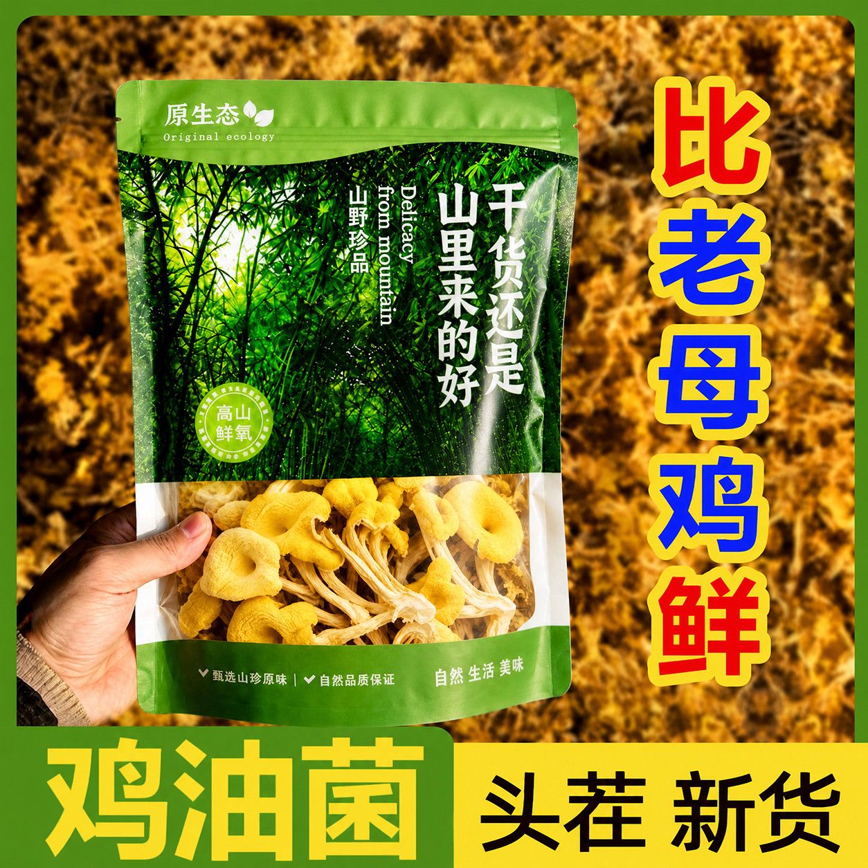 鸡油菌新鲜云南食用菌菇特产鸡油净重黄金鸡枞菌煲汤批无