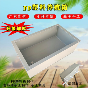 加厚PP塑料板生态养殖龟箱储水箱养龟池龟缸陆龟龟苗箱鱼箱定做