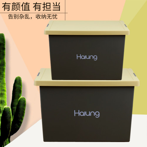 焕龙储物箱收纳塑料零食