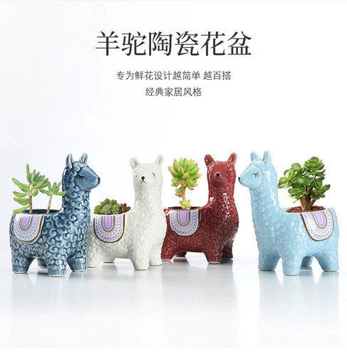 羊驼多肉花盆陶瓷盆栽卡通摆件