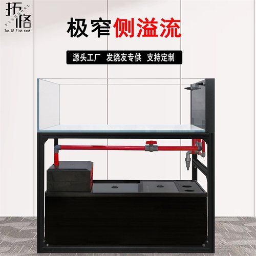 溪流缸龙鱼缸拓格裸缸发烧友
