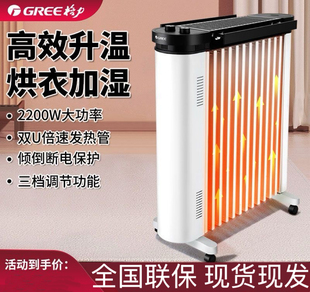 格力电油汀取暖器电暖器家用节能电暖气暖风机火炉NDY20 S6022