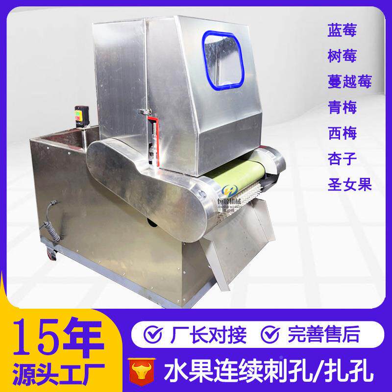 泡味梅连续式刺孔机酒 水青果加工轧孔入入味机 圣女果EQF扎孔机