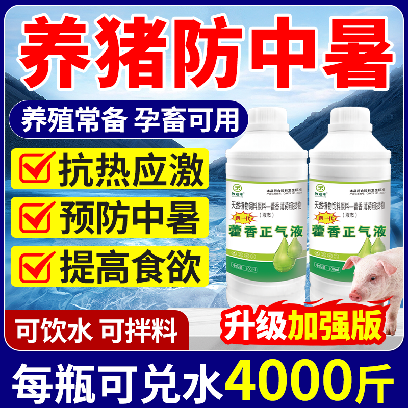 养猪防中暑专用藿香正气液食欲不振不爱吃食开胃藿香正气水老牌子