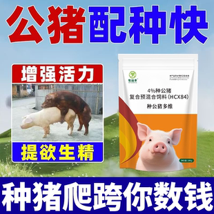 种公猪多维猪精少弱精饲料添加剂公猪不爬跨带桶装水溶维生素兽用