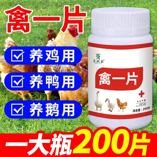 禽一片正宗正品养鸡鸭鹅专用受凉呼噜气喘稀便黄白痢禽类养殖专用