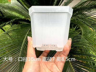 适用园丁丁多肉花盆种子育苗发芽塑料黑花盆彩色八角叶插加厚小白