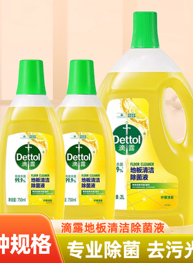 滴露地板清洁剂750ml多规格瓷砖木地板拖地专用清洁液除菌去污