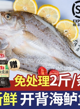 开背海鲈鱼新鲜冷冻特大去内脏清蒸纸包鱼烤鱼半成品食材商用批发