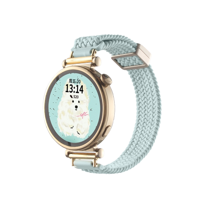 psnld华为gt4尼龙编织磁吸表带夏