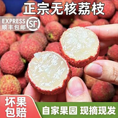 漳州无核荔枝新鲜产地直发现摘