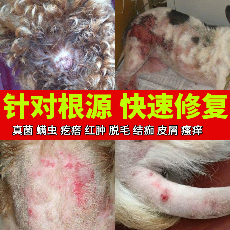 【2件】狗狗专用药真菌螨虫感染脱毛瘙痒狗喷剂