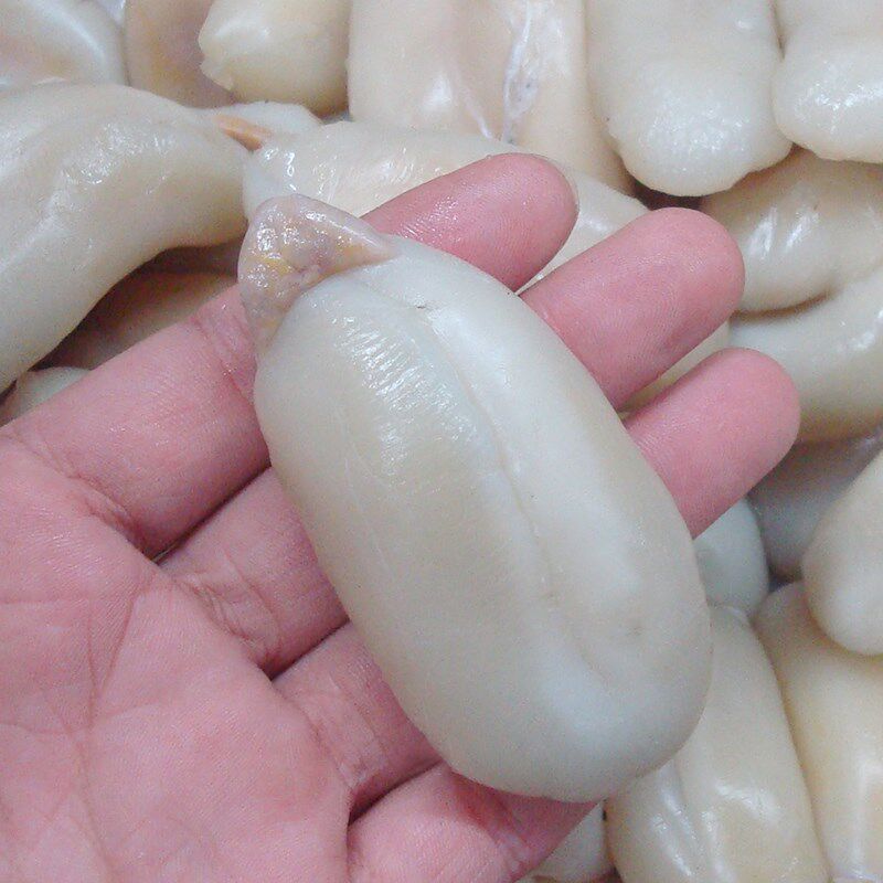 宁波海鲜大墨鱼蛋4斤 乌贼卵全淡乌鱼蛋新鲜乌贼目鱼蛋大白蛋