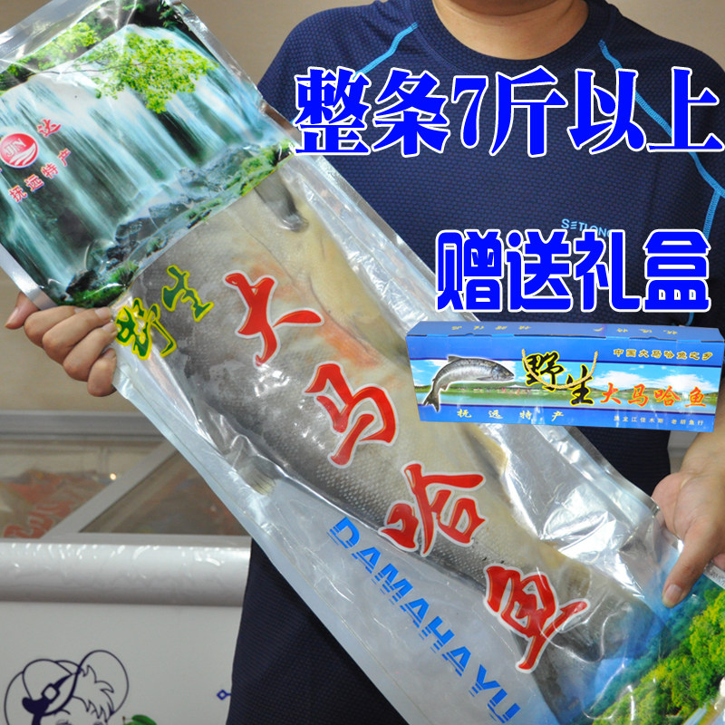 【7斤装】东北特产新鲜腌制抚远大马哈鱼三文鱼整条咸鱼 包邮