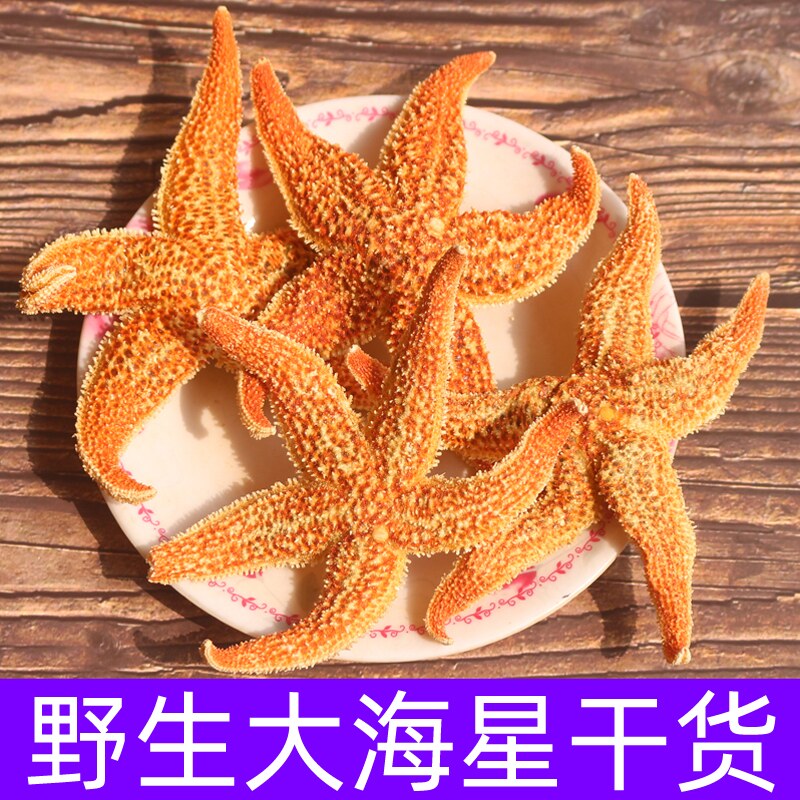 食品大海星水产干货煲汤泡酒海星五角星250克
