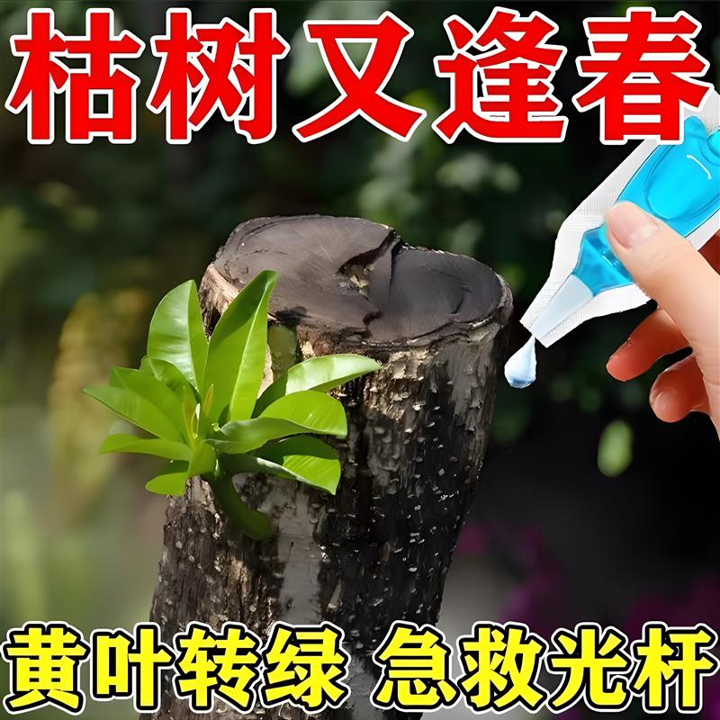 植物再生剂浓缩营养液通用花卉盆栽复活液光杆黄叶掉叶活性生长素