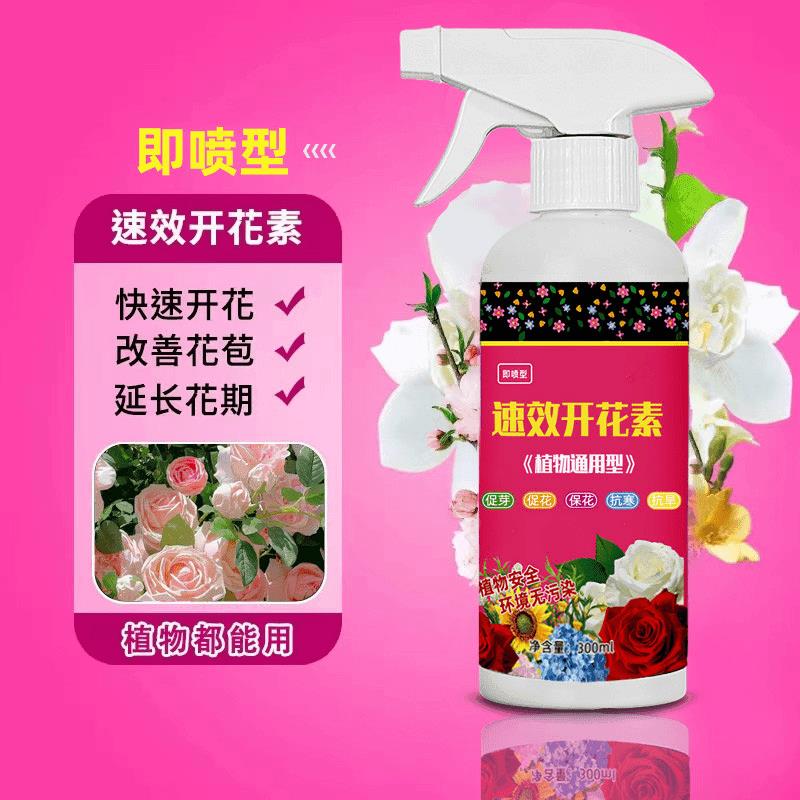 三角梅速效开花素花卉专用营养液盆栽观花植物通用催花养促花肥料