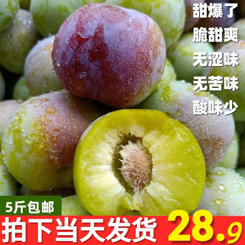 水果新鲜现摘云南绥江半边红脱骨李子四川脆甜茵红李应季 5斤包邮