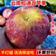 包邮 云南新鲜水果昭通丑苹果脆甜富士当季 高原冰糖心整箱现摘平果