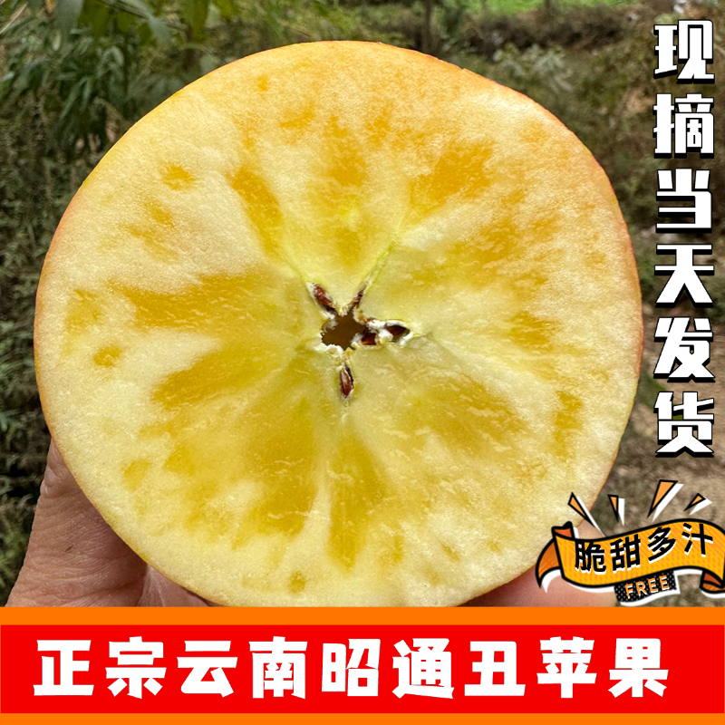 正宗云南昭通冰糖心丑苹果新鲜水果应季脆甜树尖稀有特大果平安果