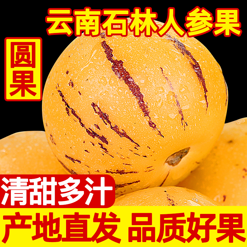 人参果云南人生果5斤大果圆果黄肉新鲜水果整箱孕妇石林人叁果10在类目 水产肉类/新鲜蔬果/熟食, 新鲜水果, 人参果中 - 来自Buy2taobao.com提供专业的淘宝代购服务