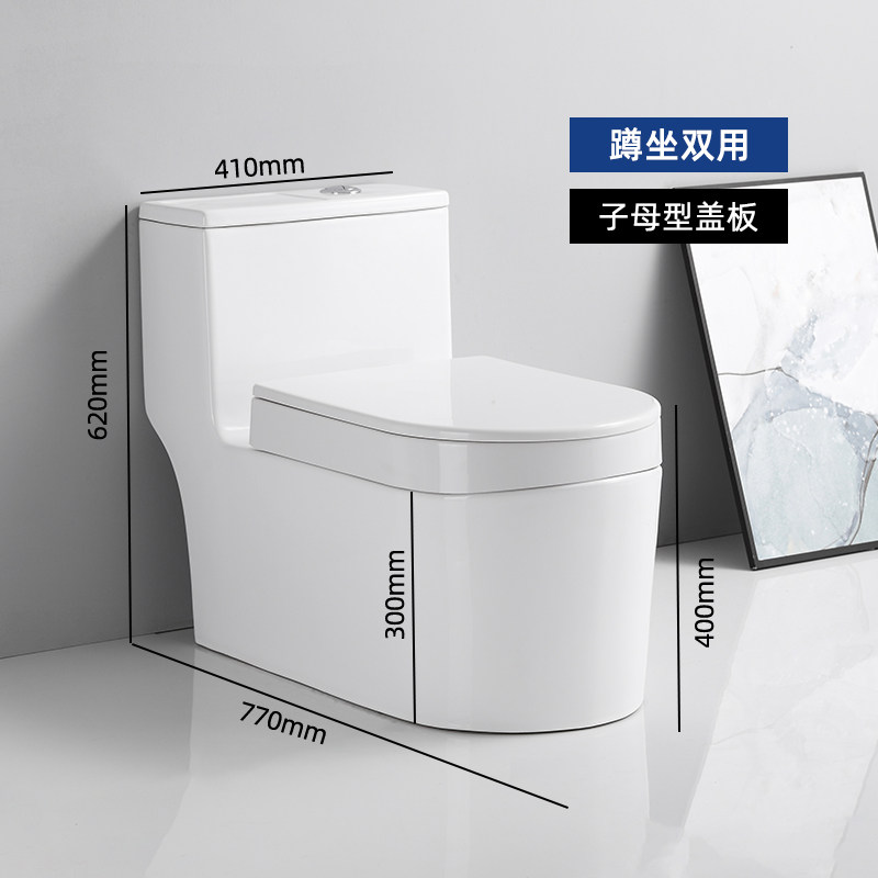抽水马桶可蹲可坐两用一