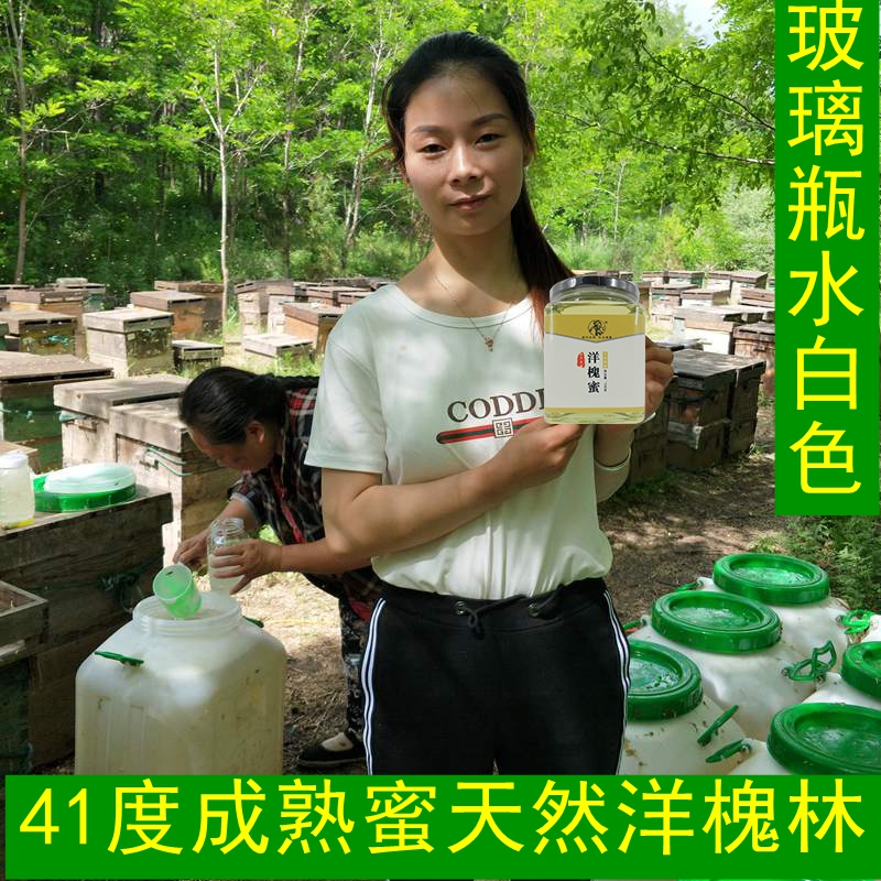 汉农陕西延安洋槐蜂蜜41度洋槐蜜 农家自产天然纯蜂蜜 槐花蜜500g