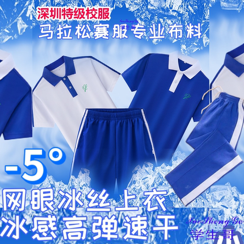 深圳校服速干网状冰丝网面针孔小学长短袖短裤透气非荆刺鸟运动服